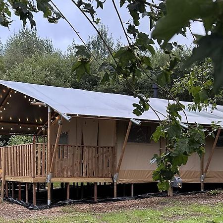 Cherry Tree Safari Lodge Talaton Екстериор снимка
